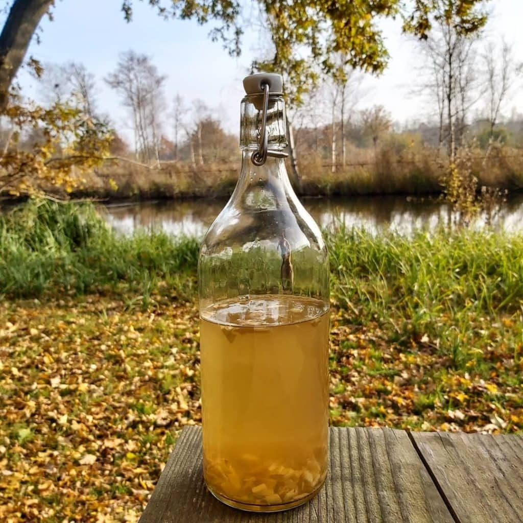 Online Workshop Fermentatie Healthy Drinks - Foto
