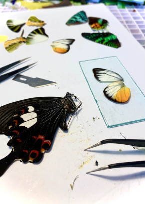 Workshop vlinders in glas-in-lood