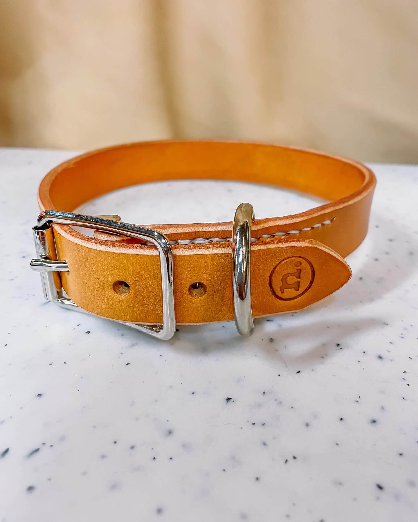 Workshop lederen hondenhalsband