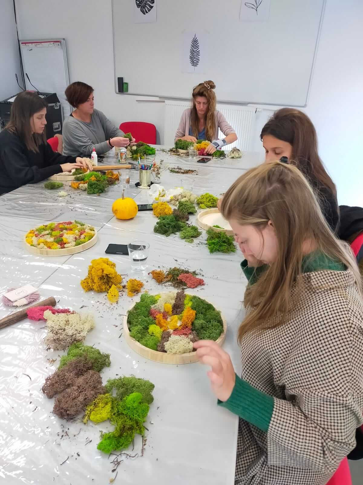 Workshop Moswand Maken 🌿 - Foto