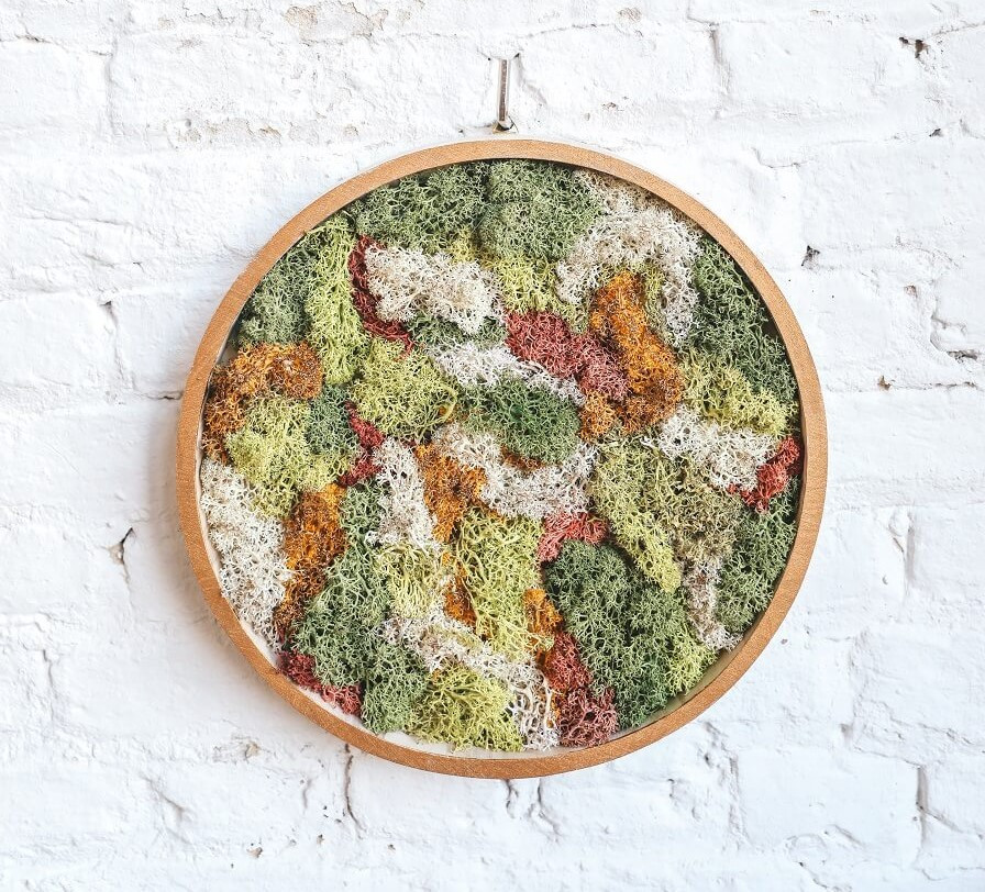Workshop Moswand Maken 🌿 - Foto