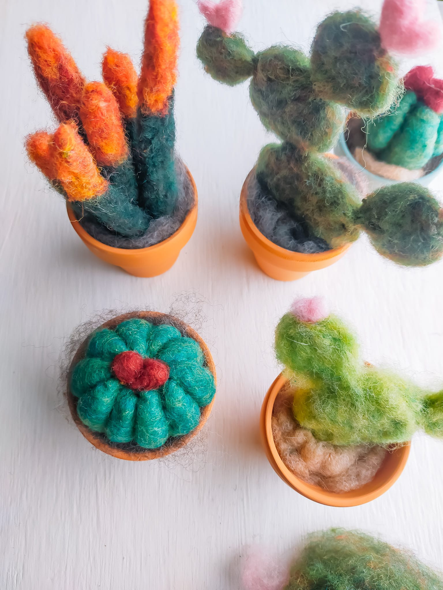 DIY Project: Planten Vilten - Foto