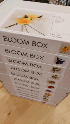 Vilten bloemen - workshop in groep