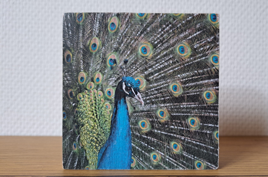DIY pakket foto's overbrengen op houten onderzetters - Foto