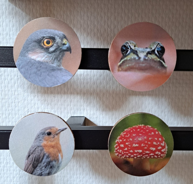 DIY pakket foto's overbrengen op houten onderzetters - Foto