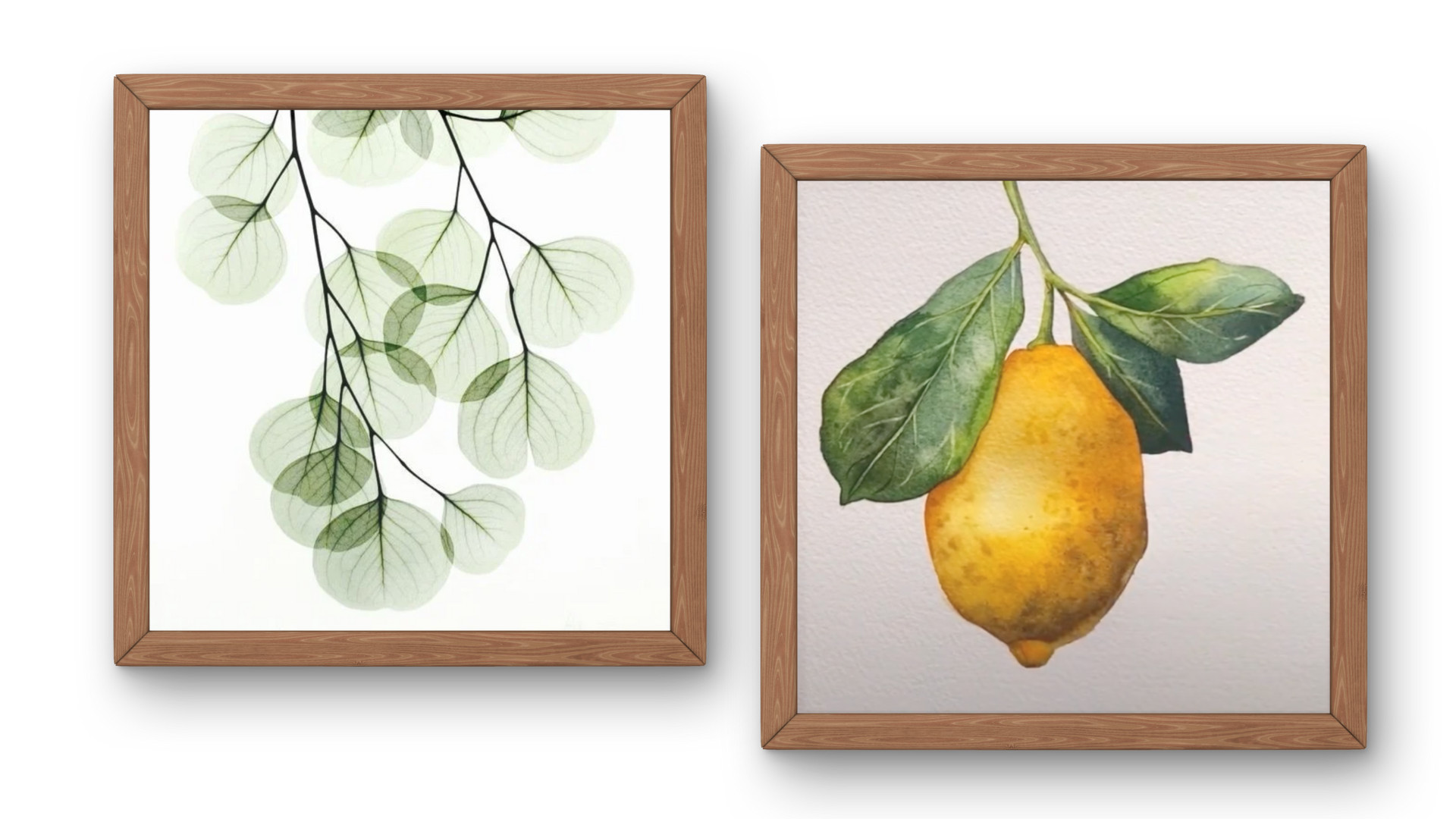 🌿  Eucalyptustakje met aquarel - Foto
