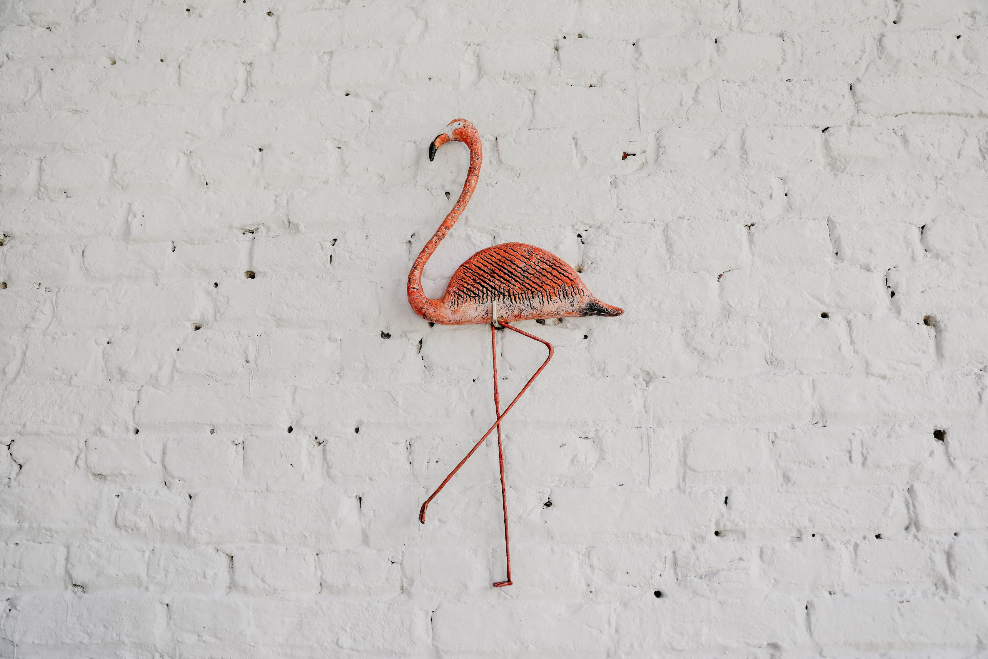 DIY Pakket Flamingo - Foto