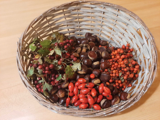 Wild foods
