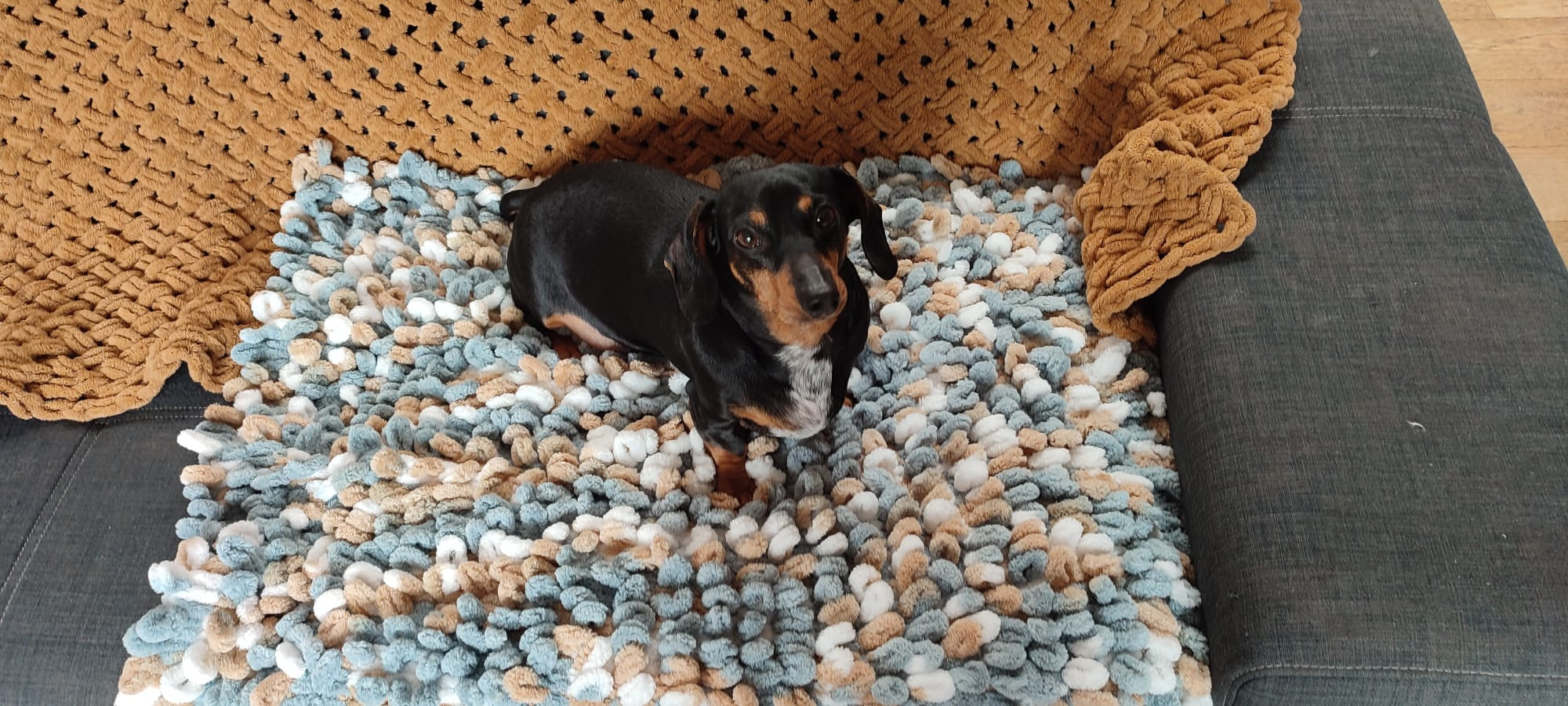 Workshop Fluffy Mat – Breien met je handen voor jouw viervoeter (of jezelf!) Breien zonder naalden? Jep, dat kan! - Foto