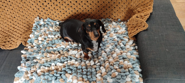 Workshop Fluffy Mat – Breien met je handen voor jouw viervoeter (of jezelf!) Breien zonder naalden? Jep, dat kan!