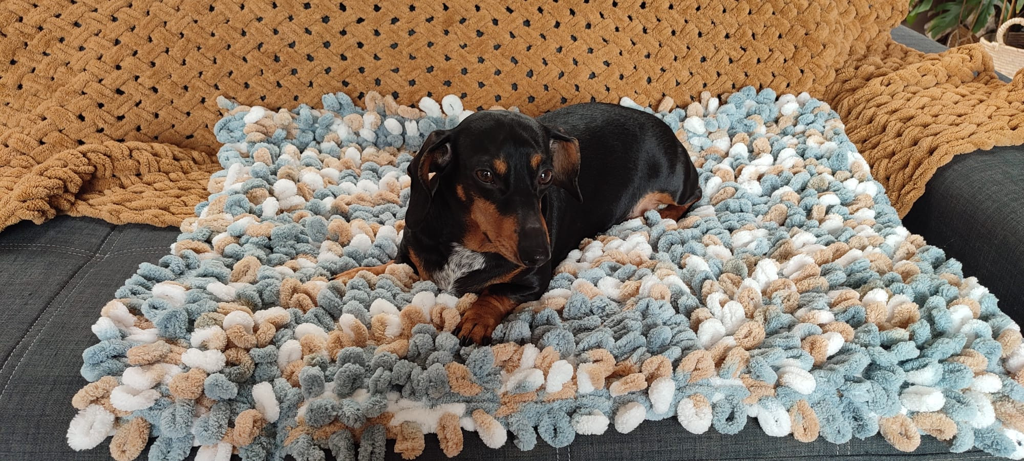 Workshop Fluffy Mat – Breien met je handen voor jouw viervoeter (of jezelf!) Breien zonder naalden? Jep, dat kan! - Foto