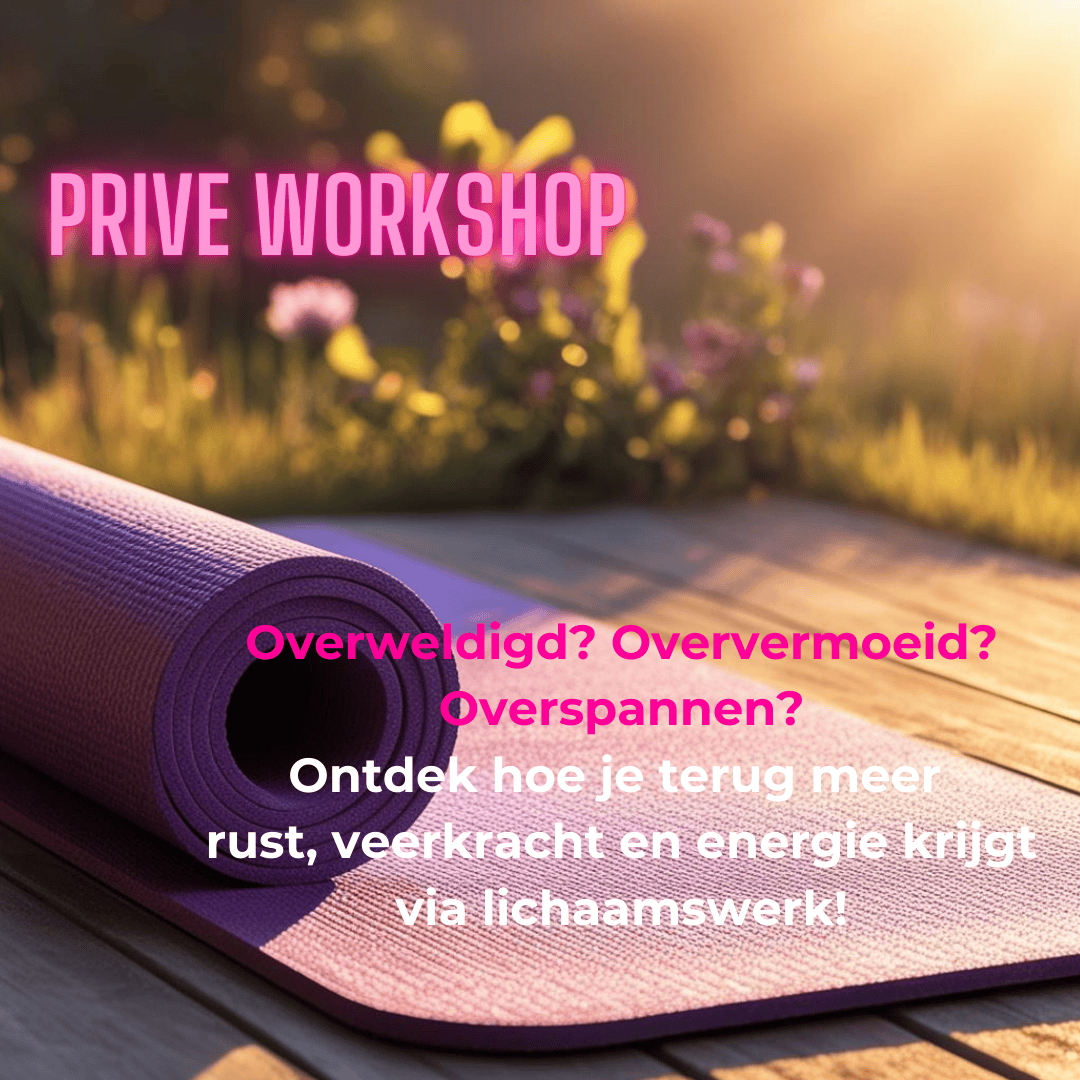 Privé groepsworkshop 'Meer rust, veerkracht en energie via lichaamswerk!'