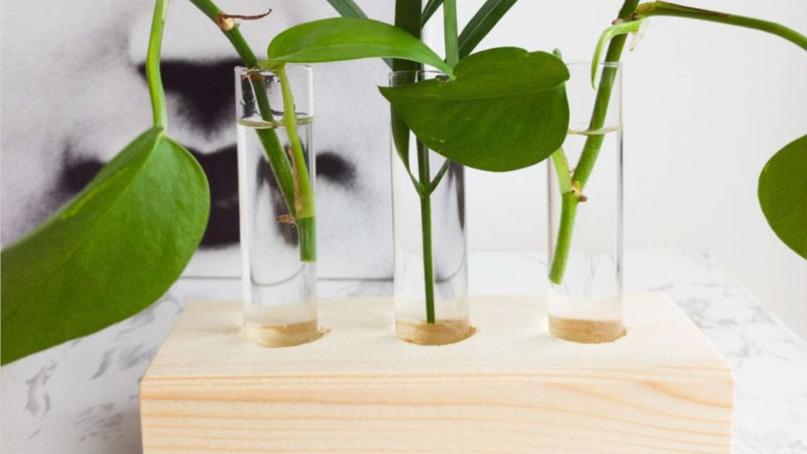 DIY vaasjes in hout