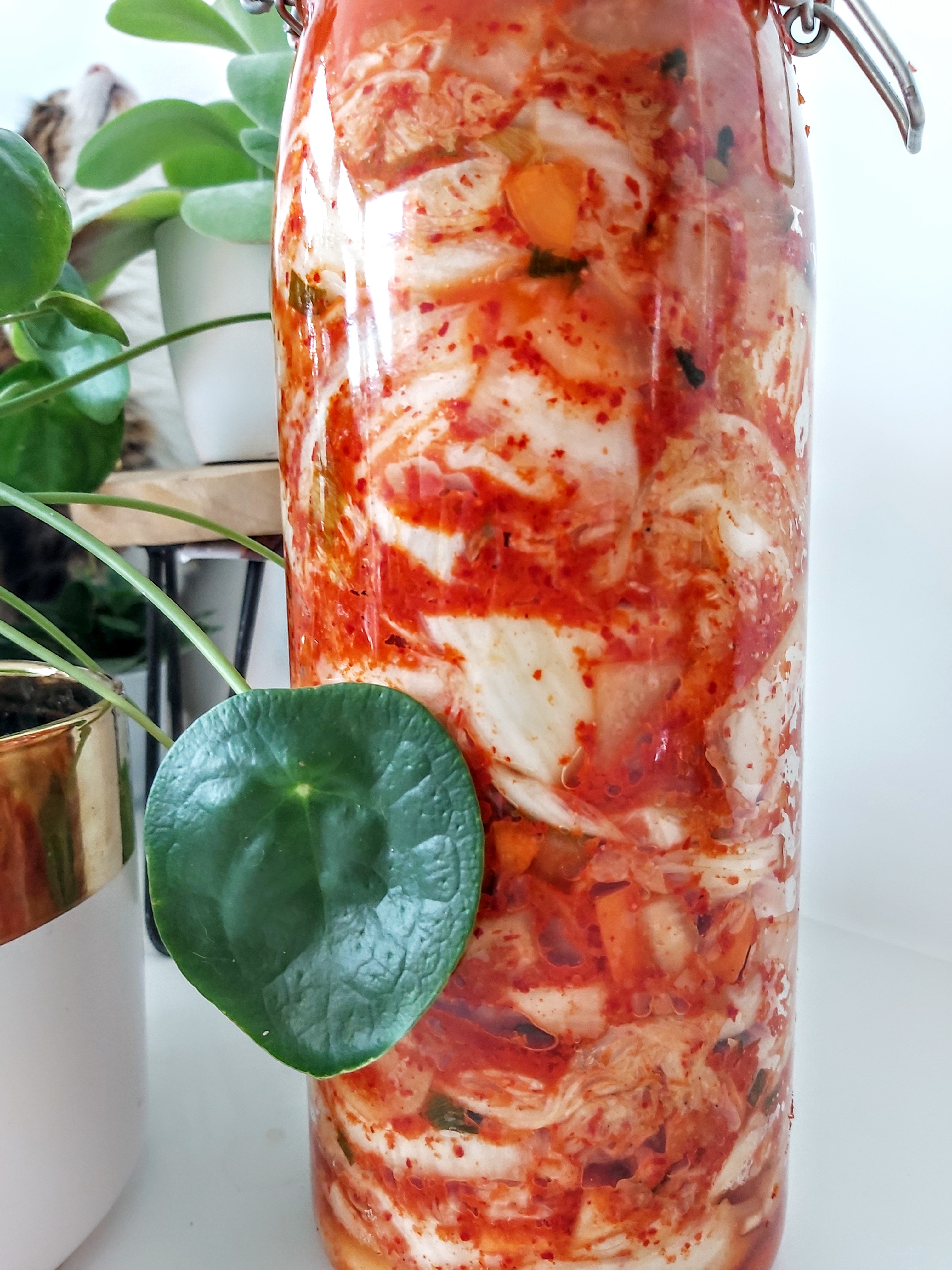 Online Workshop Fermentatie Kimchi en zuurkool - Foto