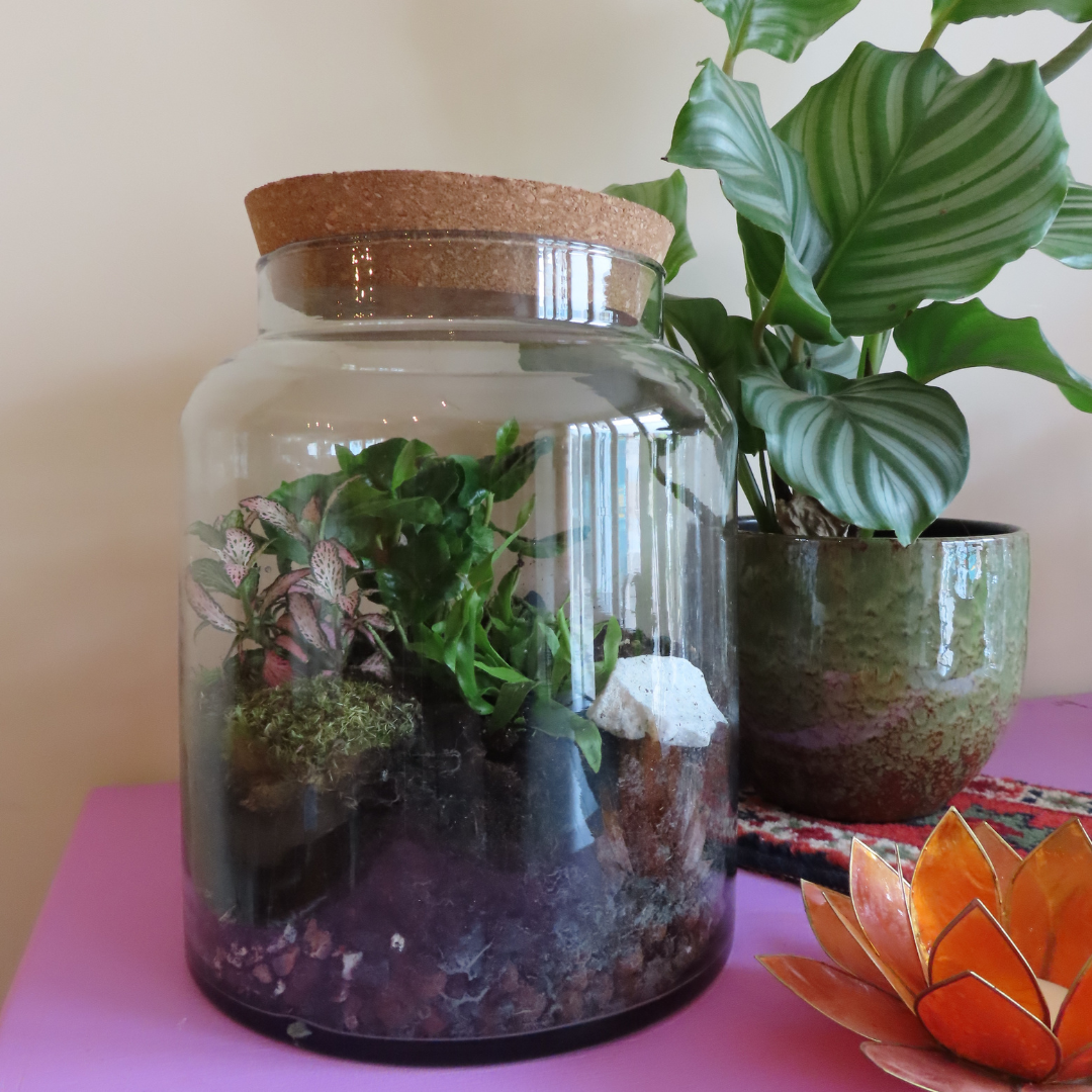 Workshop Ecosysteem maken - Foto