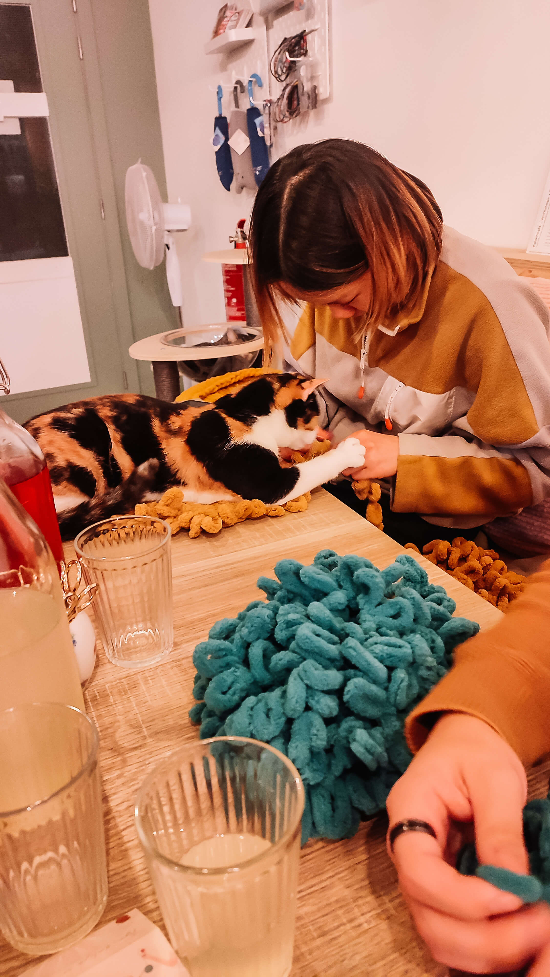 Kattenmand handbreien.. tussen de katten! - Foto