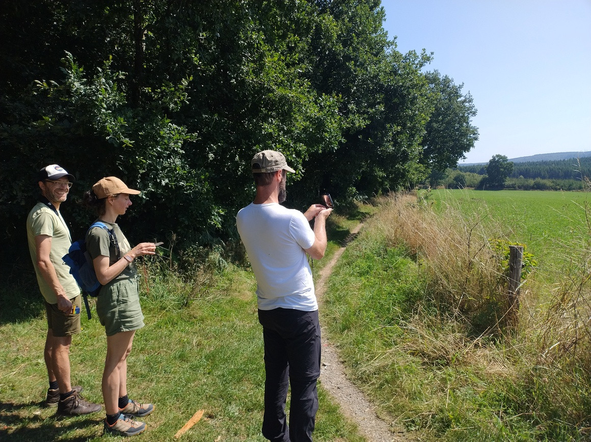 @Arnout/Wildtree