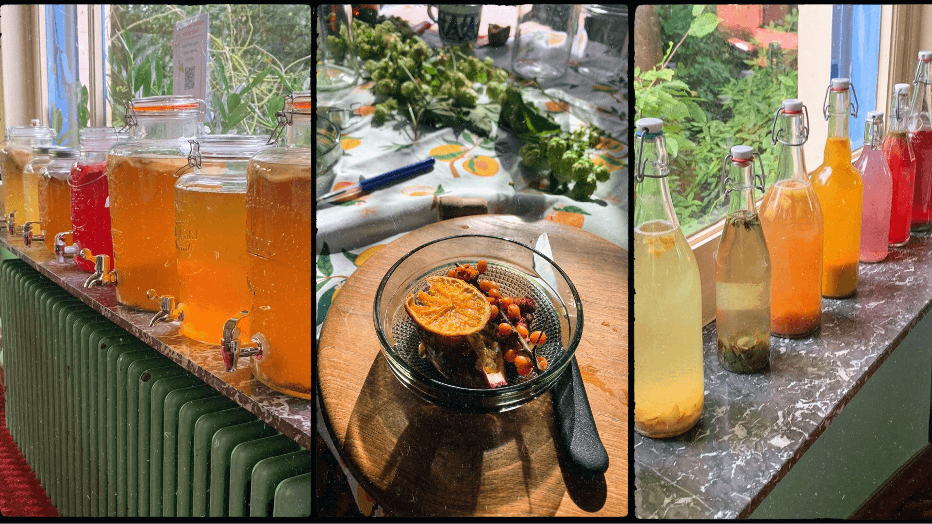 HUISGEMAAKTE KOMBUCHA - DIY PAKKET