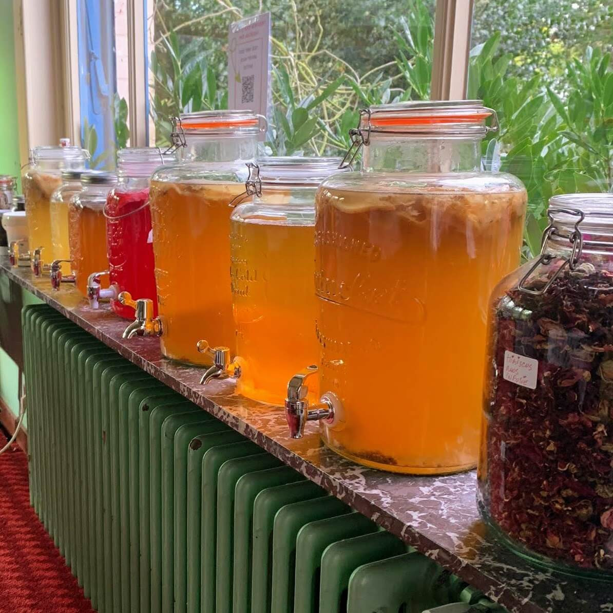 HUISGEMAAKTE KOMBUCHA - DIY PAKKET - Foto