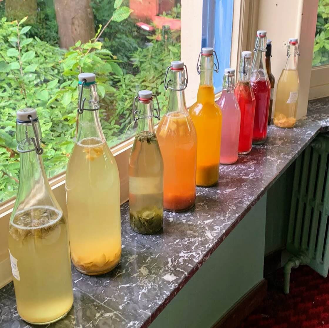 HUISGEMAAKTE KOMBUCHA - DIY PAKKET - Foto