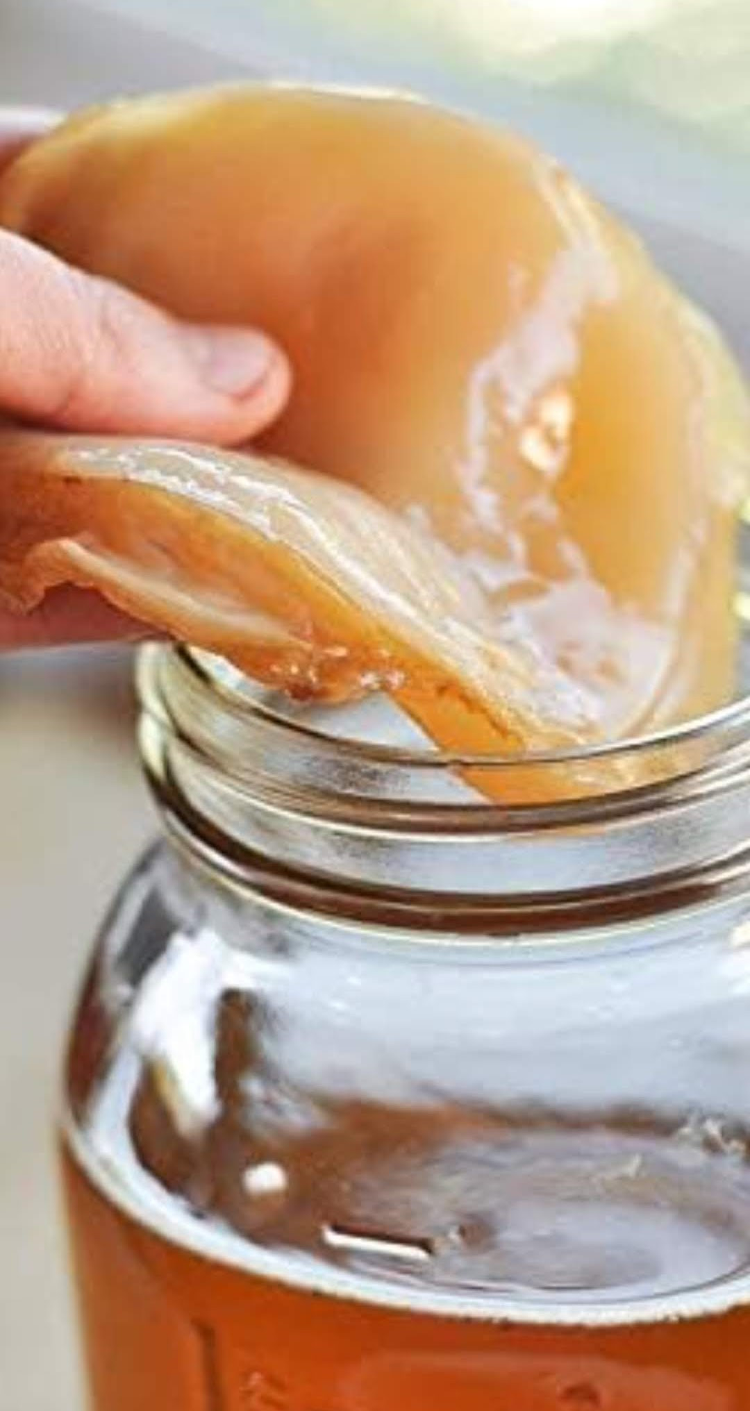 HUISGEMAAKTE KOMBUCHA - DIY PAKKET - Foto
