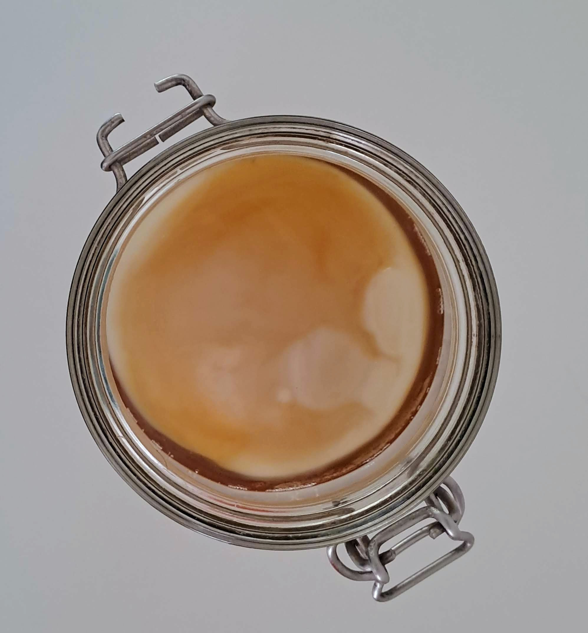 HUISGEMAAKTE KOMBUCHA - DIY PAKKET - Foto