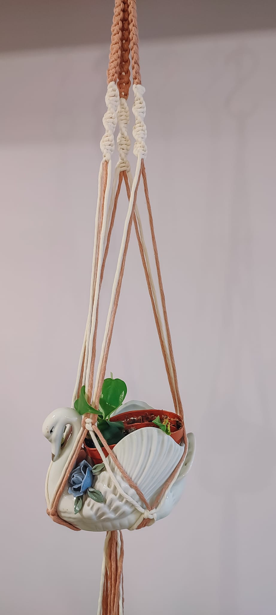 Van touw tot wauw! Workshop macramé plantenhanger - Foto