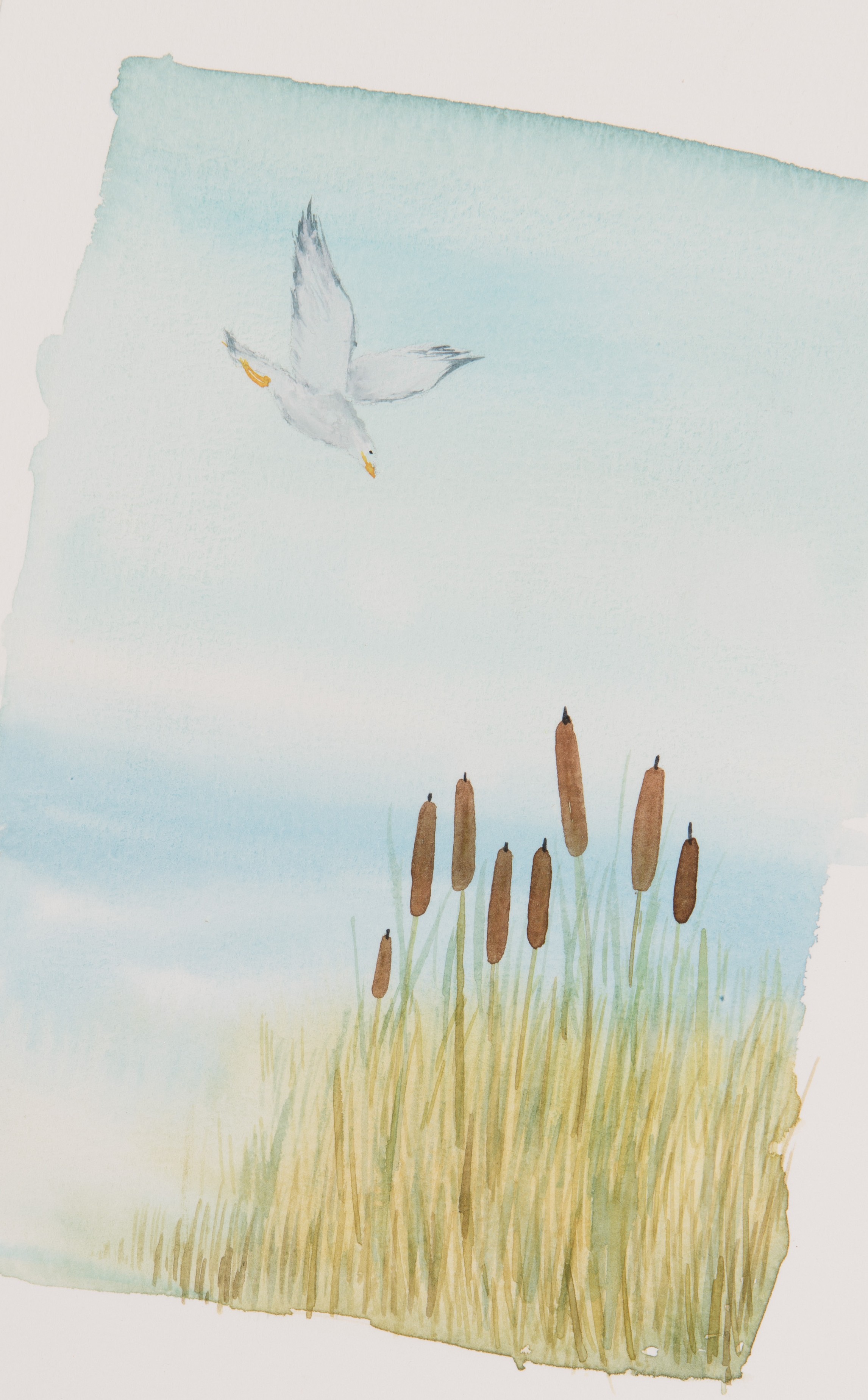 Aquarellen op reis of onderweg, avondworkshop
