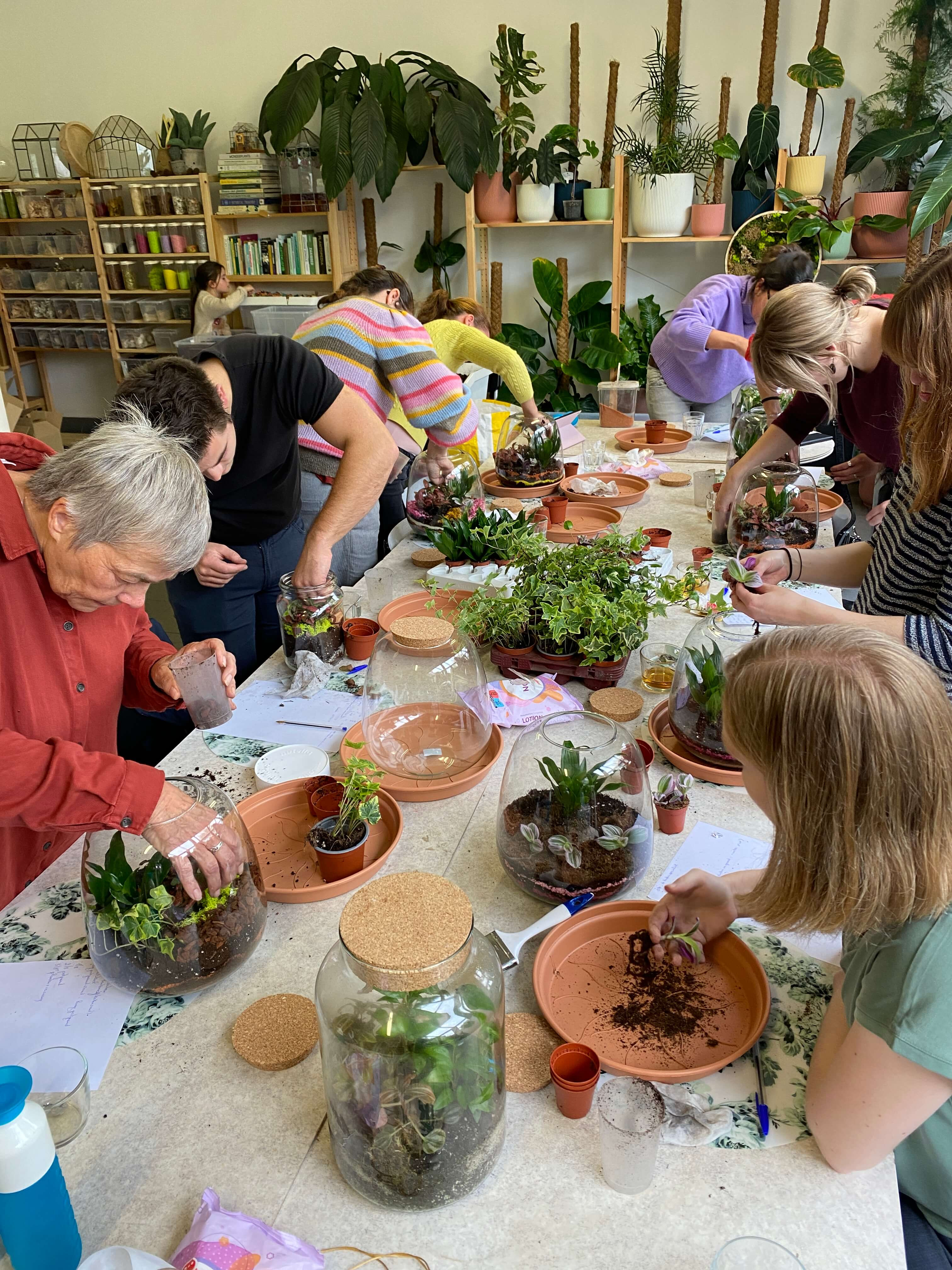 Workshop bouw je eigen terrarium - Foto