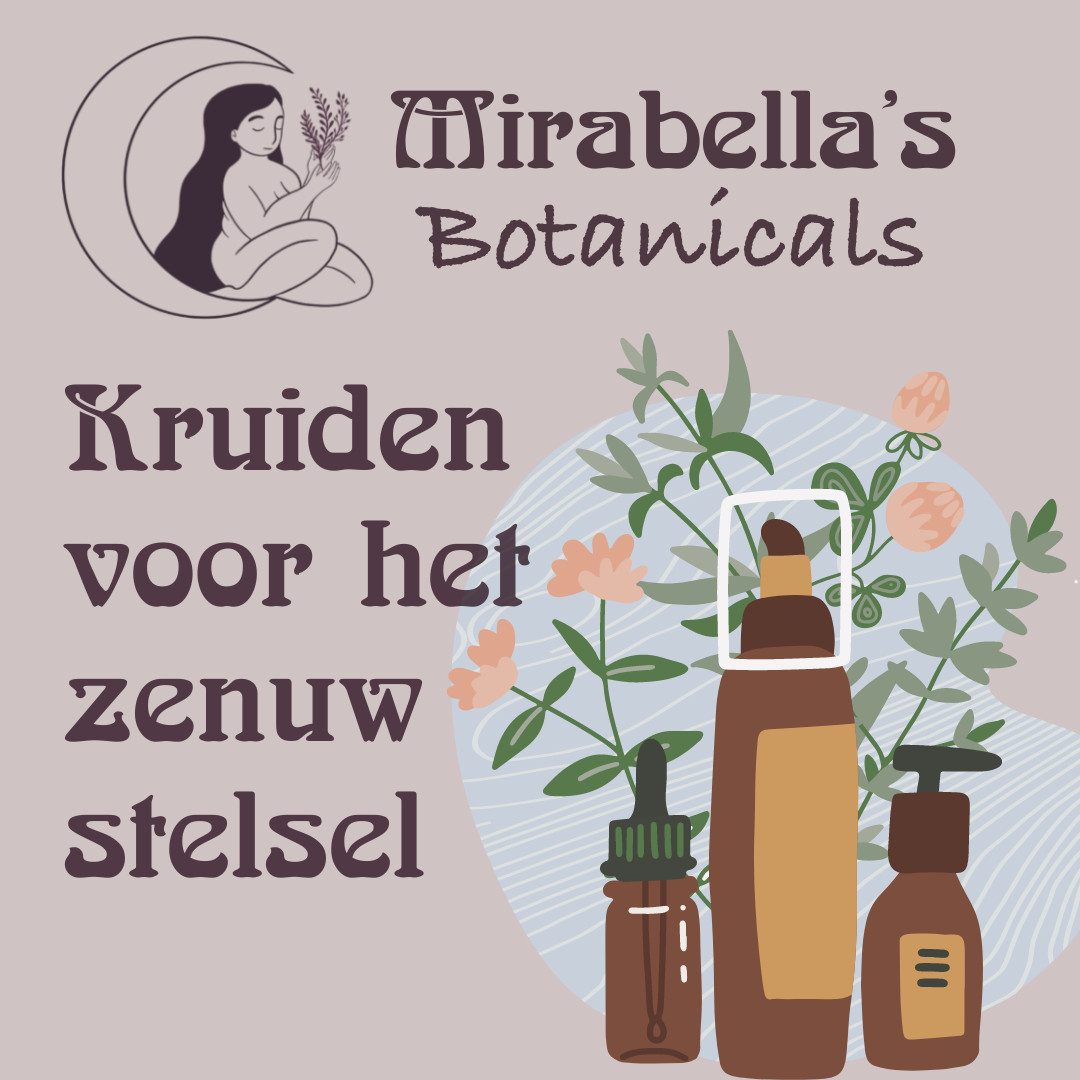 Ontspanning en Veerkracht - Kruiden voor het Zenuwstelsel - Foto