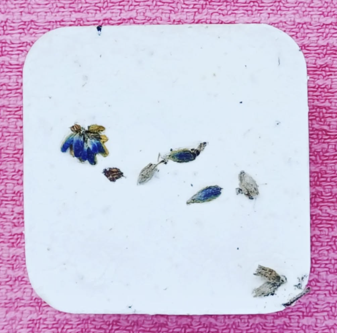 Lavendelbloemen natuurzeep - nieuwe datum!