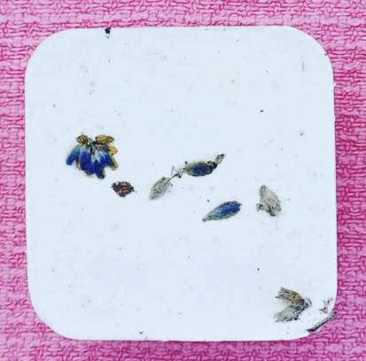 Lavendelbloemen natuurzeep - nieuwe datum!