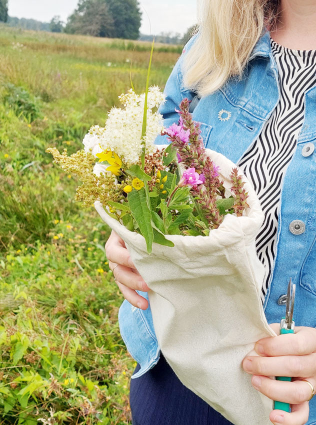 Workshop wildpluk & botanisch tekenen - Foto