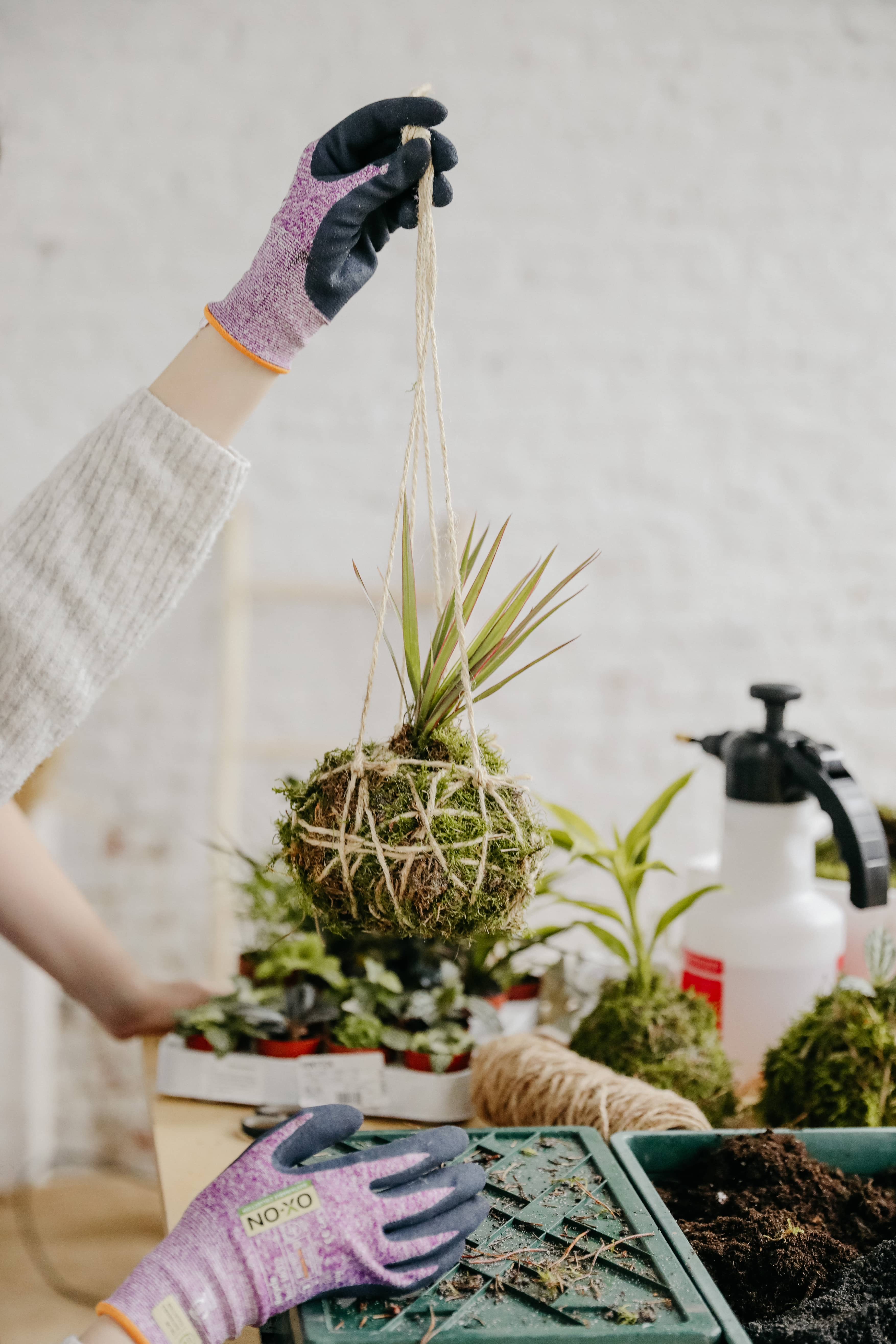 🌿 Kokedama Workshop – Babyshower Editie - Foto