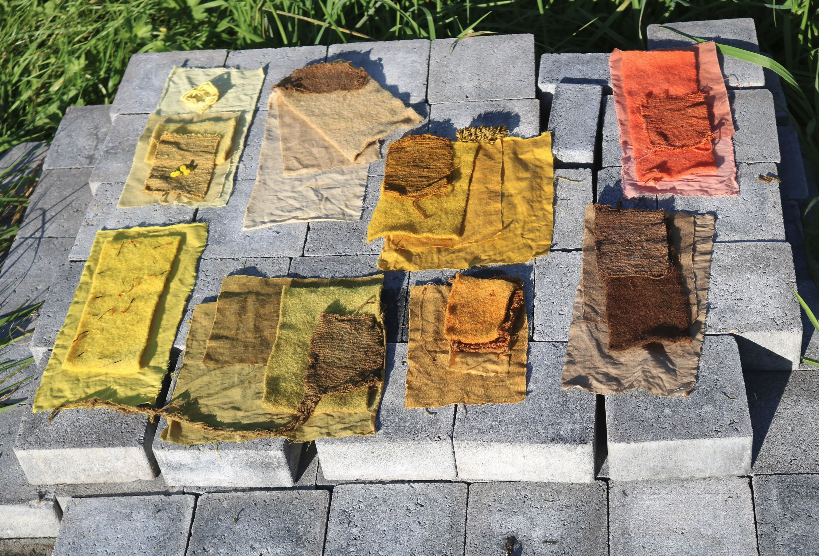 Workshop Plantaardig Verven: Authentieke kleuren, tijdloos Ambacht - Foto