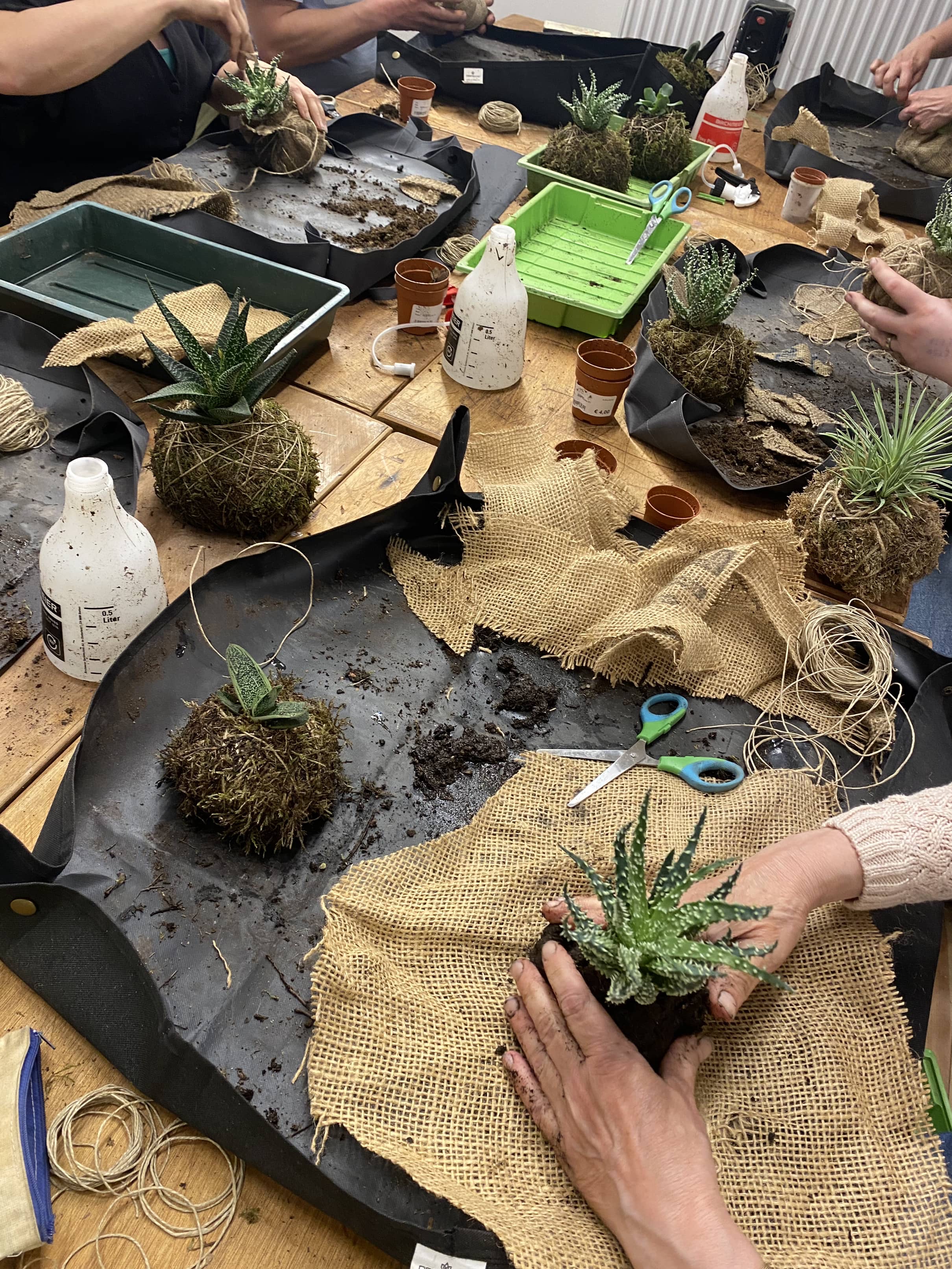 Workshop Kokedama's maken 🪴 - Foto