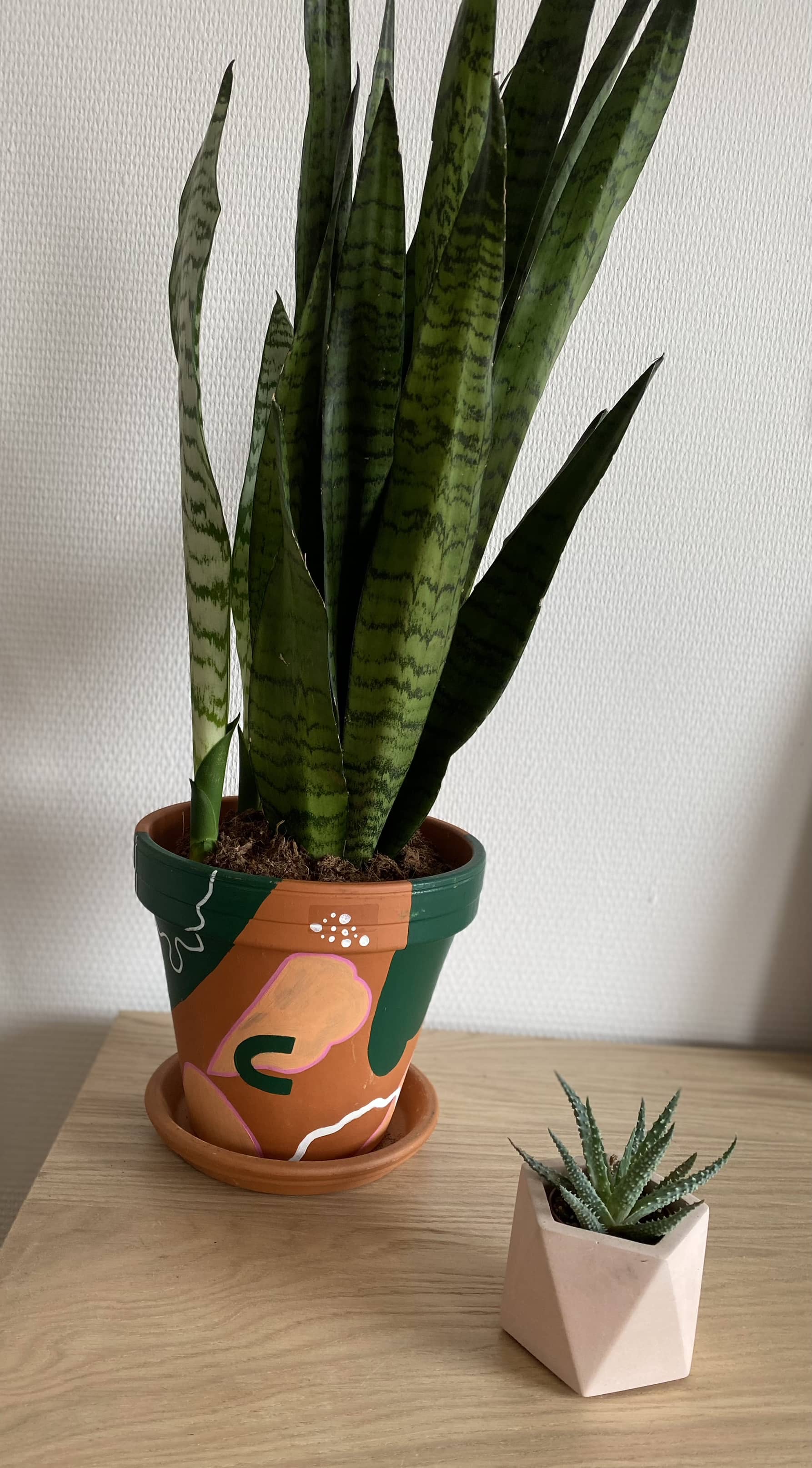 🎨🌿 Sip & Paint – Bloempot Editie - Foto