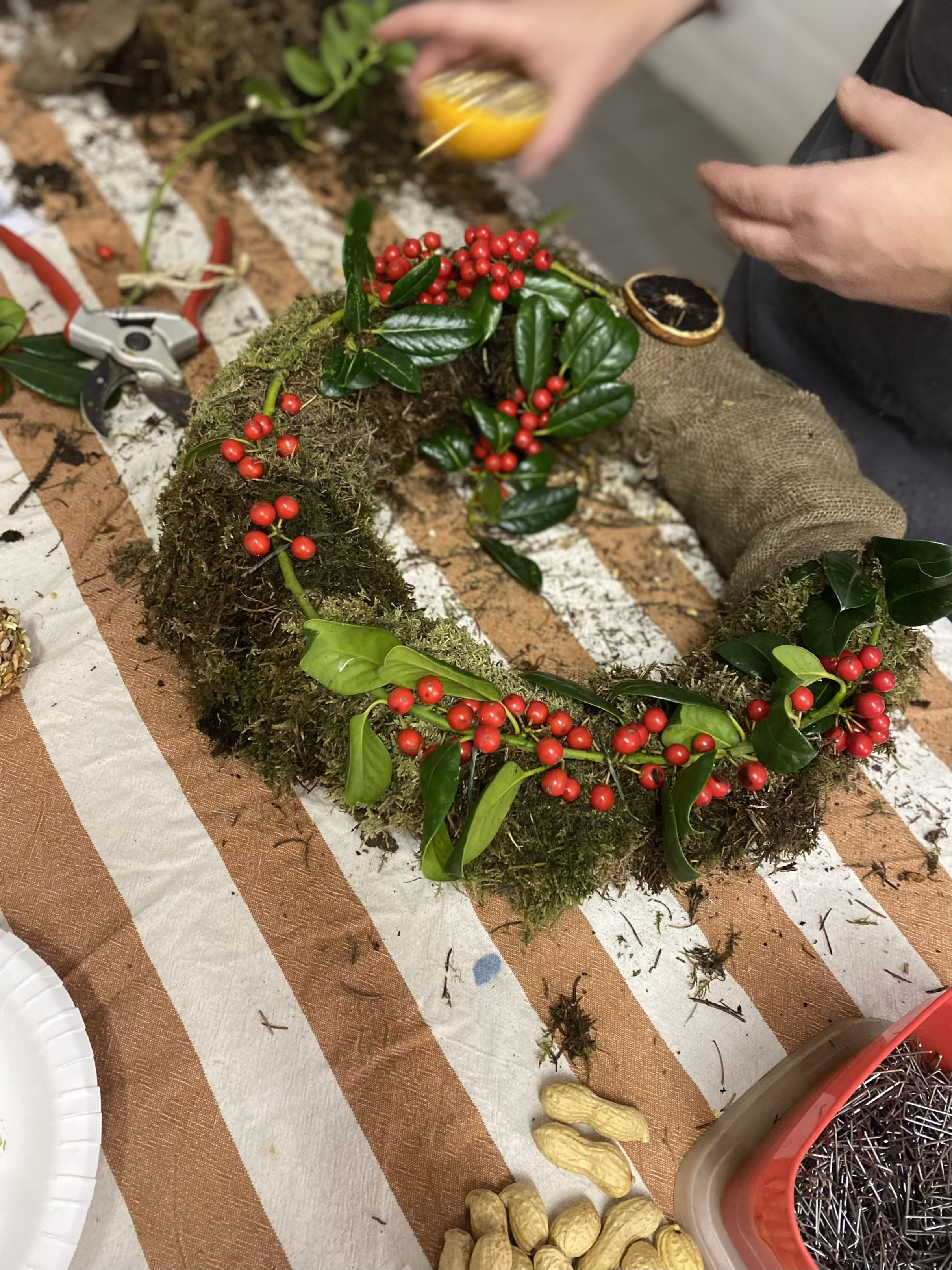 Workshop: Vogel Voeder Krans Maken 🐦 - Foto