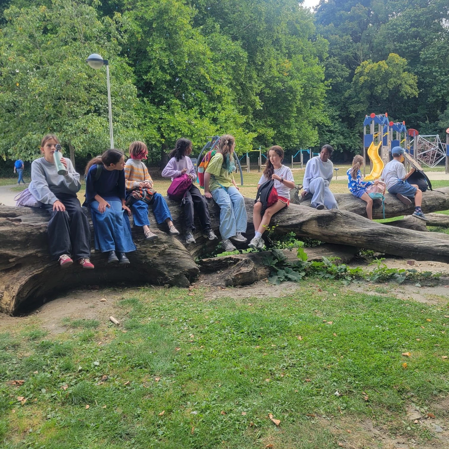 Eco-Crazy-Creakamp bij REST juli 2026 leeftijd 9 tot 13 jaar - Foto