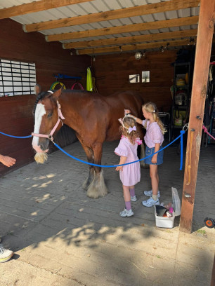 Kinderfeestje met paarden