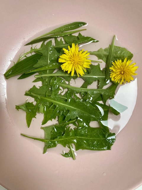 Wildpluk 🌿Workshop DIY Zomervitaliteit 🌞 - Foto