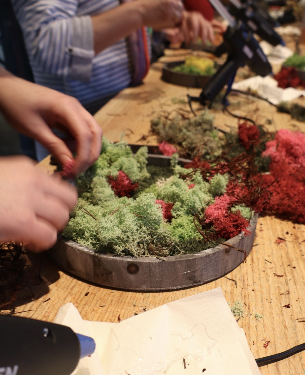 Moswand & sip workshop - Foto