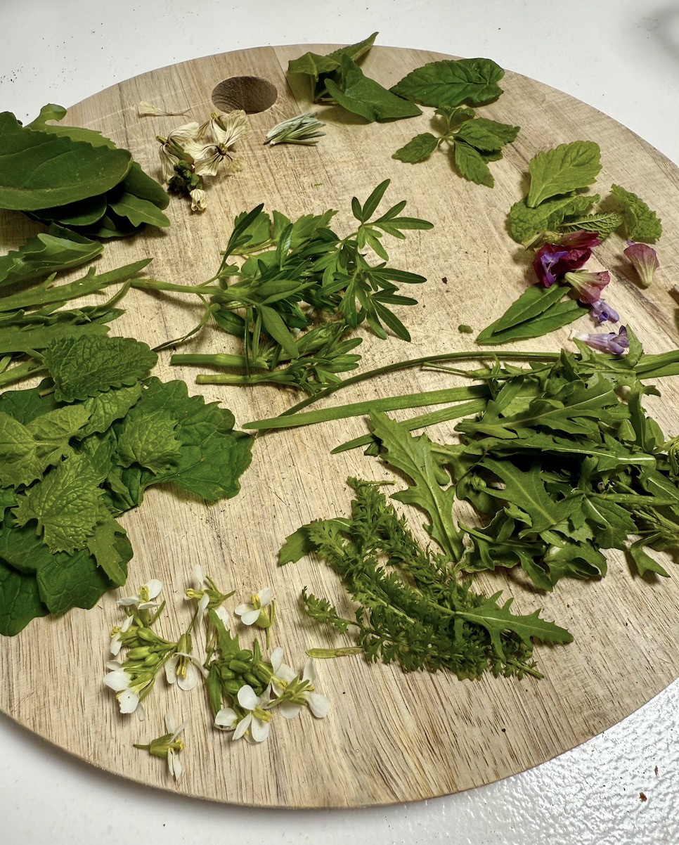 Kruidenworkshop 🌻 Zomervitaliteit - Foto
