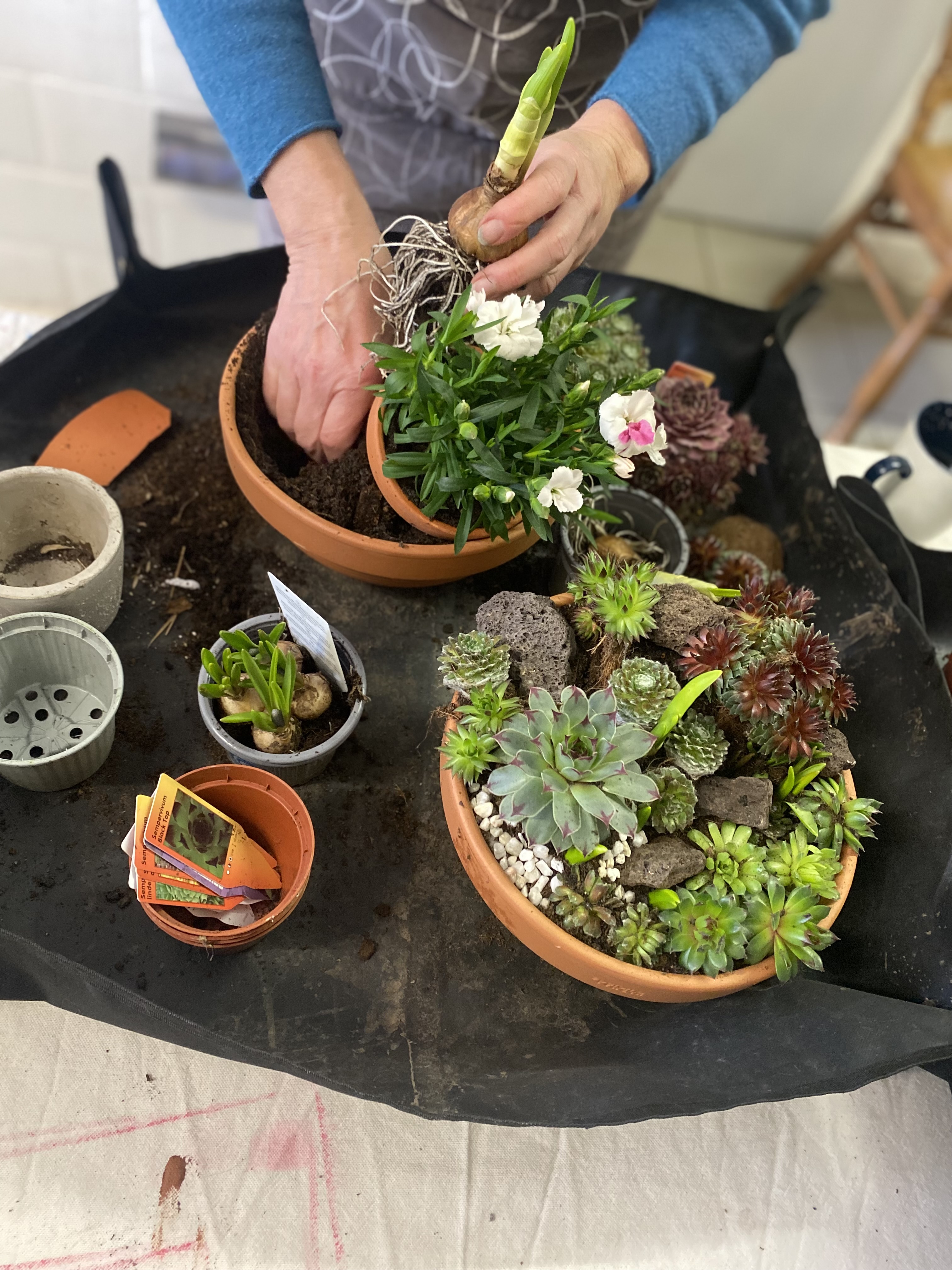 Vlinderbuffet creëeren 🦋🐝 (ook ouder-kind) - Foto
