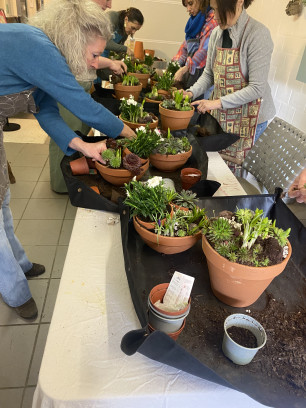 🦋 Vlinderbuffet Workshop – Creatieve Teambuilding
