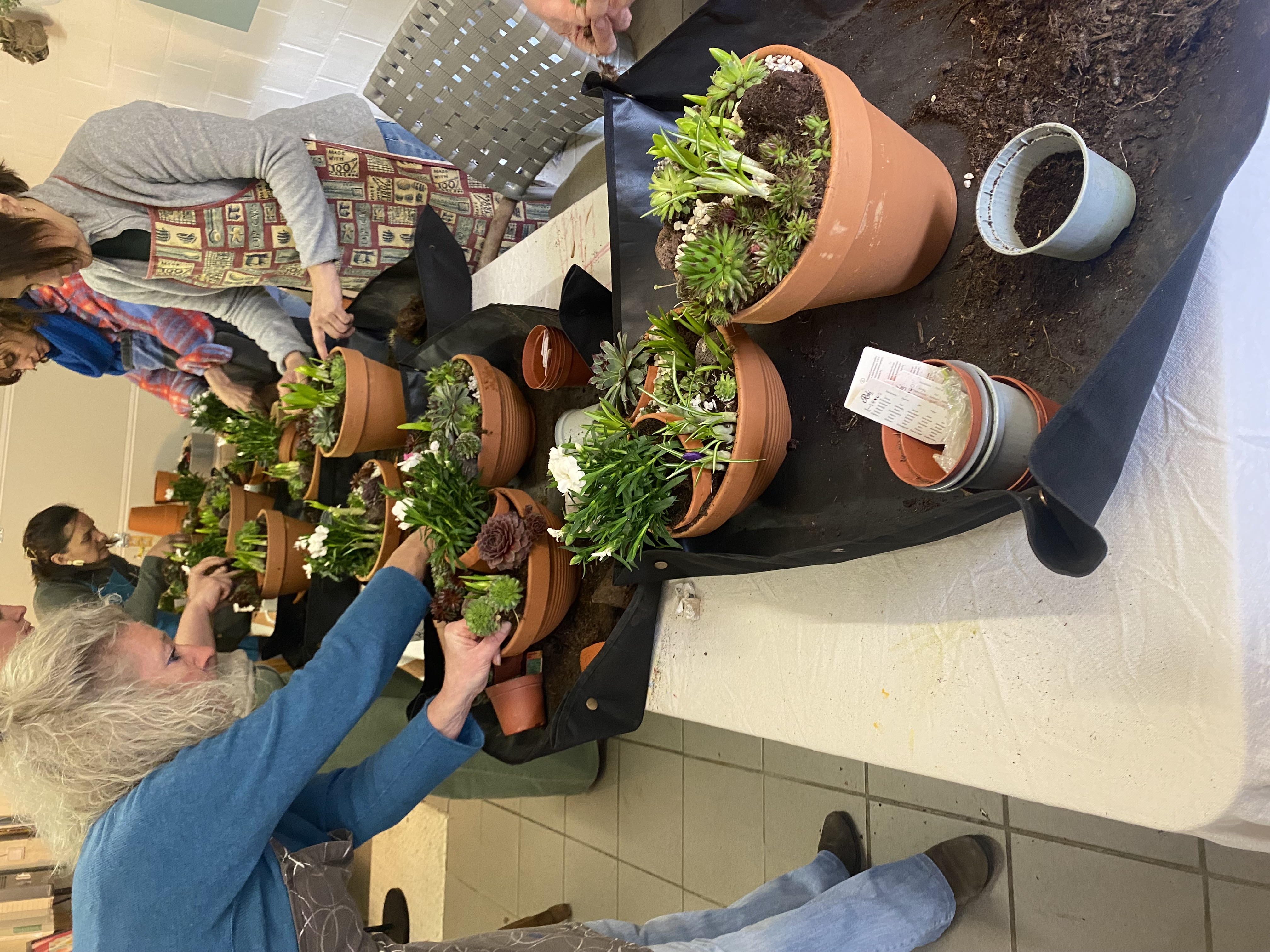 🦋 Vlinderbuffet Workshop – Creatieve Teambuilding - Foto