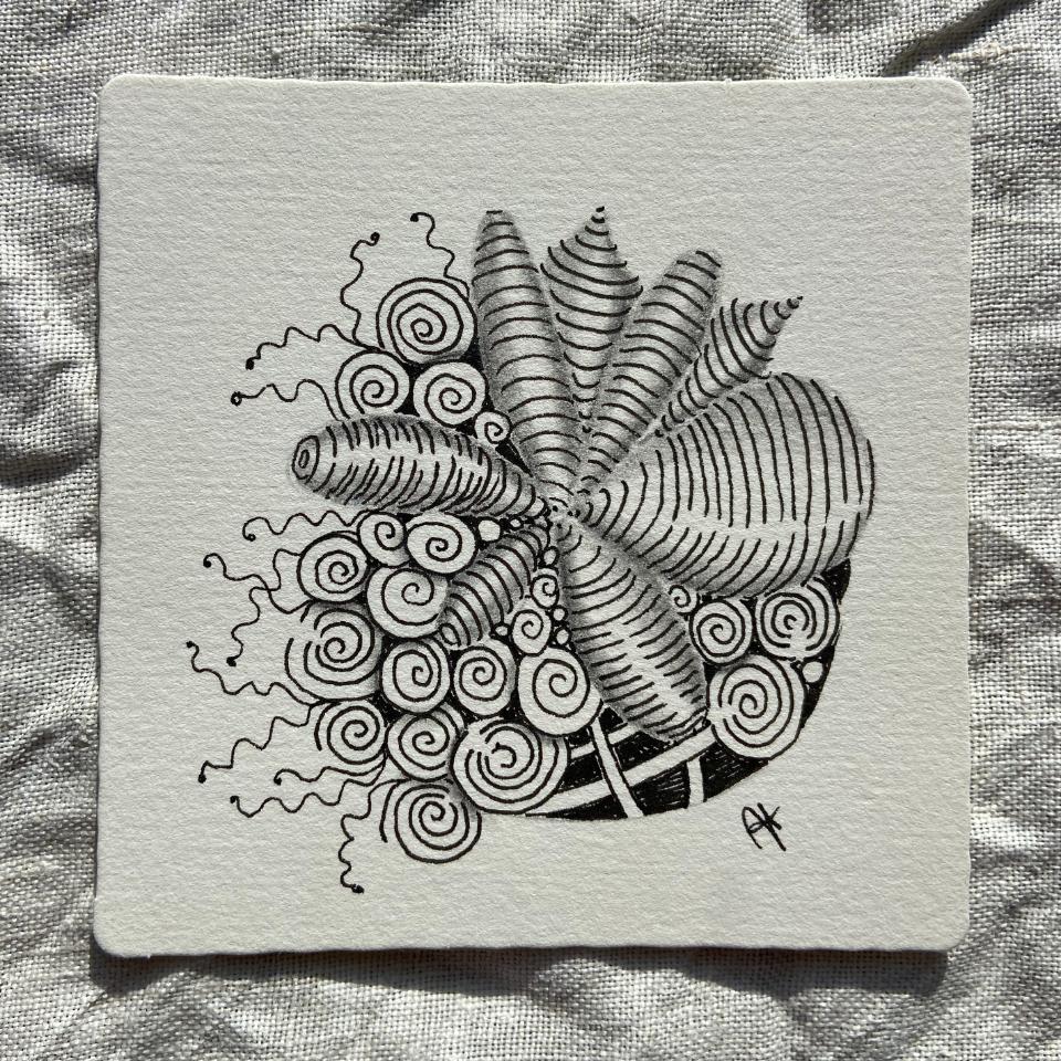 Cursus Zentangle - 8 lessen tekentechnieken - Foto