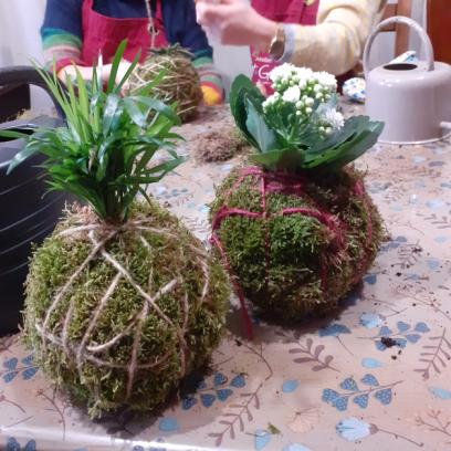 Privé workshop Kokedama maken
