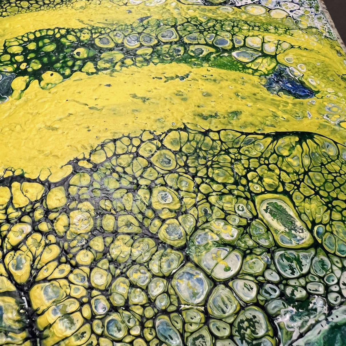 Acrylic Pouring Dagopleiding – Ring, Ribbon & Dutch Pour met Cellen nov - Foto