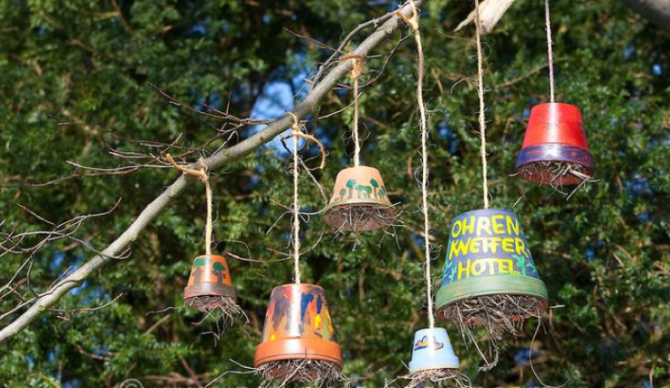 Mini Natuurproject – Creëer je eigen huisje voor nuttige insecten 🐝